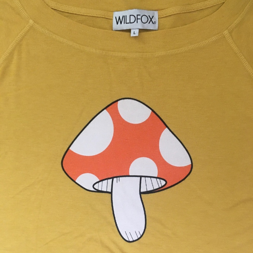 Wildfox 70s Mushroom Oversized Crop Tee